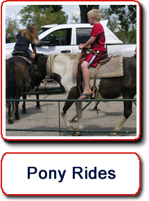 pony rides