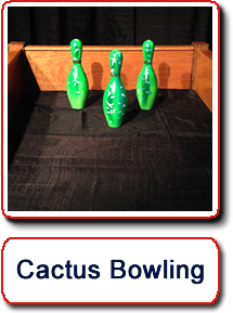 Cactus Bowling