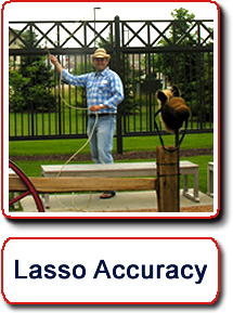 Lasso Accuracy